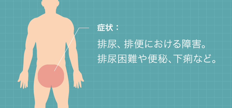 膀胱直腸障害（神経の障害）
