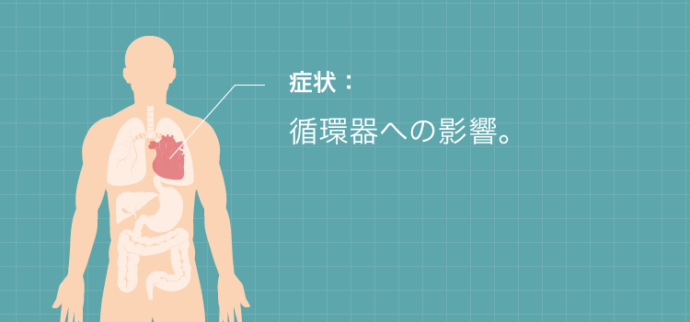 脾臓破裂の症状：循環器への影響。