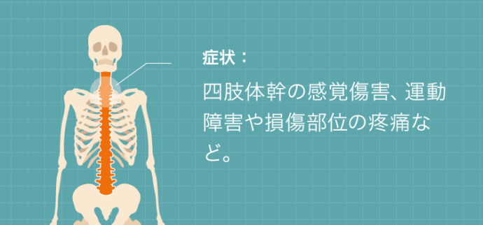 脊髄損傷の症状：四肢体幹の感覚障害、運動障害や損傷部位の疼痛など。