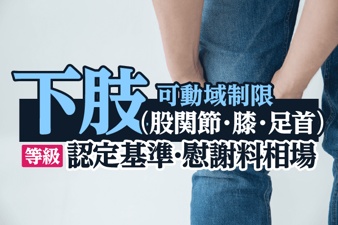 下肢(股関節、膝、足首)の可動域制限、人工骨頭の後遺障害を解説|等級の認定基準や慰謝料相場