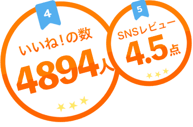 いいね！の数4573人、SNSレビュー4.2点