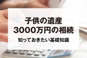 子供の遺産3000万円の相続