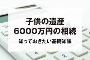 子供の遺産6000万円の相続